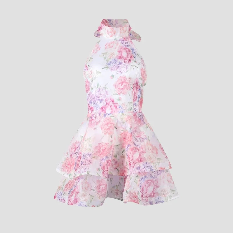 Sasha Dress